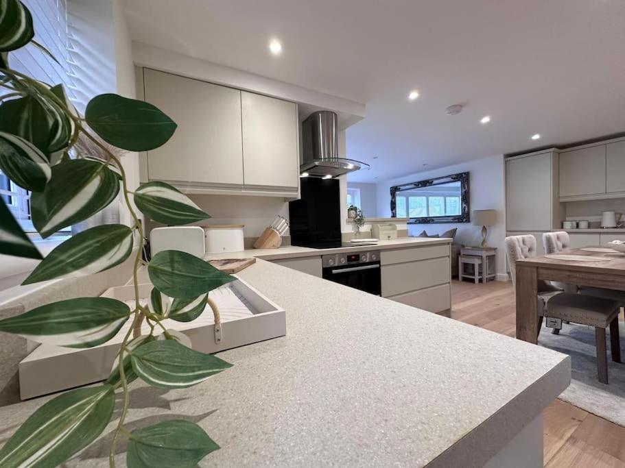 Sunningwell 2Bed Ground Floor Flat + Garden 아파트 외부 사진